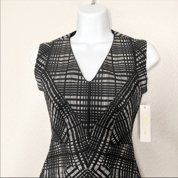 NWT Shoshanna Structured Sleeveless Cocktail Dress Size 2 - Picture 2 of 9